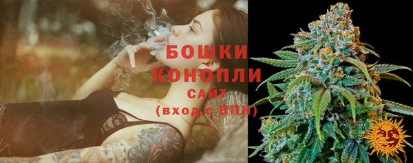 первитин Богданович
