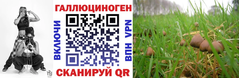 Псилоцибиновые грибы Psilocybe  Обь 