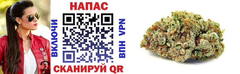 дарнет шоп  ссылка на мегу рабочий сайт  Шишки марихуана тримм  Обь 